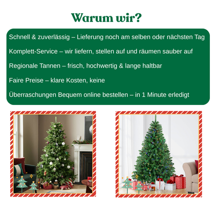 Weihnachtsbaum